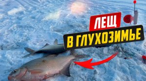 Ловля леща в глухозимье на реке Обь: Секреты успешной рыбалки на комбайны!