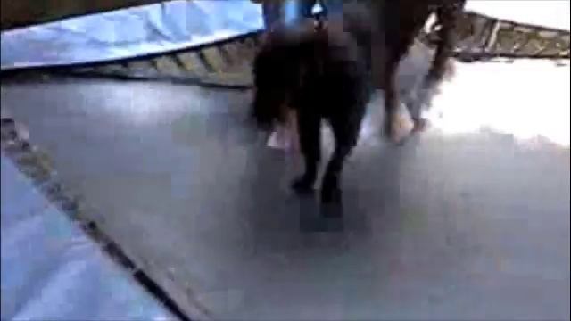 Harry the Horse greatest hits смотреть онлайн