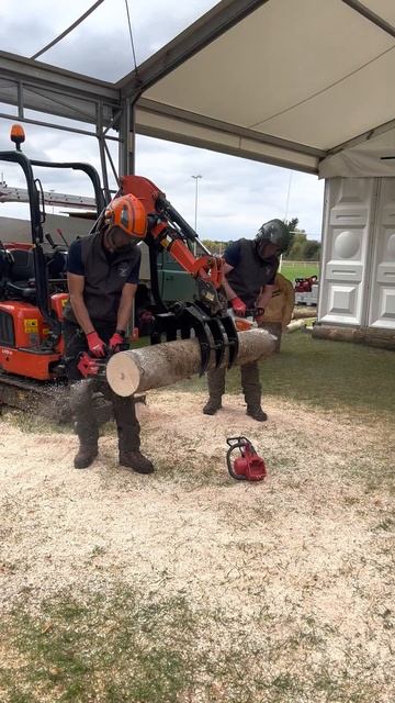 Milwaukee M18 FUEL 14" Top Handle Chainsaw racing against Stihl Chainsaw смотреть онлайн