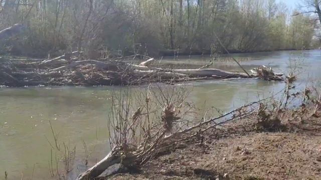 Лучший отдых с дочкой в деревне, погуляли на речке, пожарили шашлыки, и отдохнули душой😊❤️🥰#природа смотреть онлайн