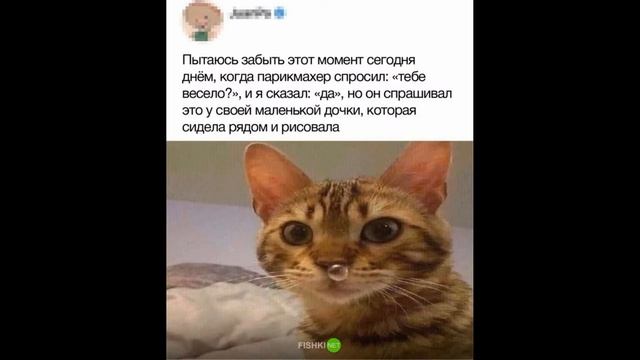 Смешные мемчики[песня от кота]#мемы#песняоткота смотреть онлайн