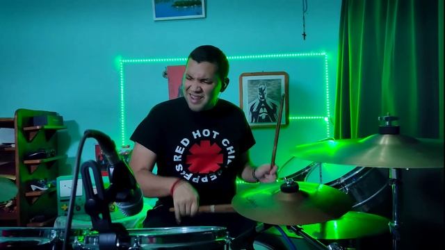 Swedish House Mafia ft. John Martin - Don't You Worry Child / WildDrumss Drum Cover смотреть онлайн