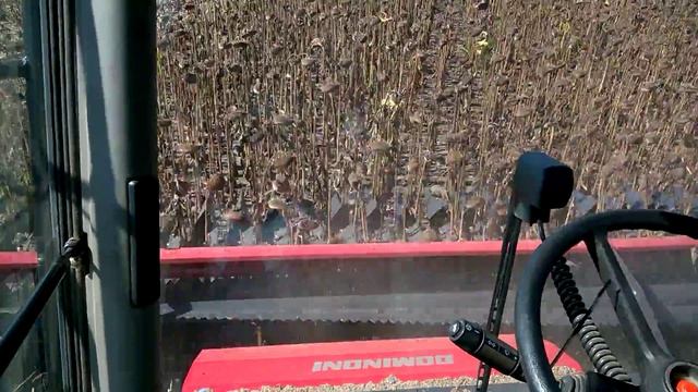 Dominonu Free Sun GF 760 + Claas Lexion 460 №6 смотреть онлайн