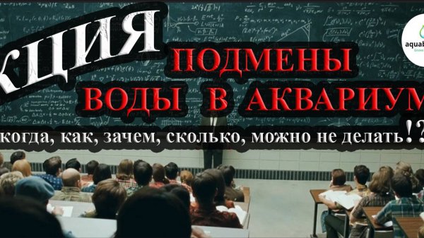 Подмена воды в аквариуме. Лекция.