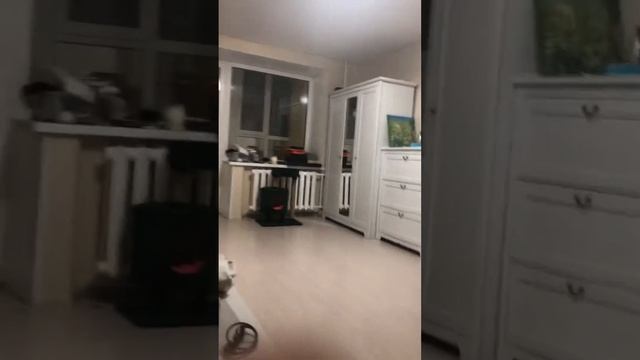 Сфинкс апорт смотреть онлайн