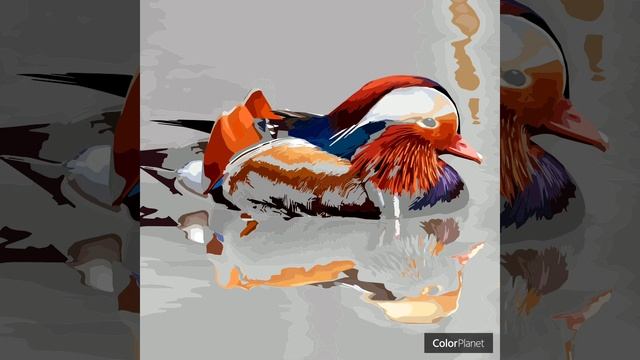 Утка-мандаринка смотреть онлайн