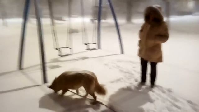 Игорь и Анна и Елизавета смотреть онлайн