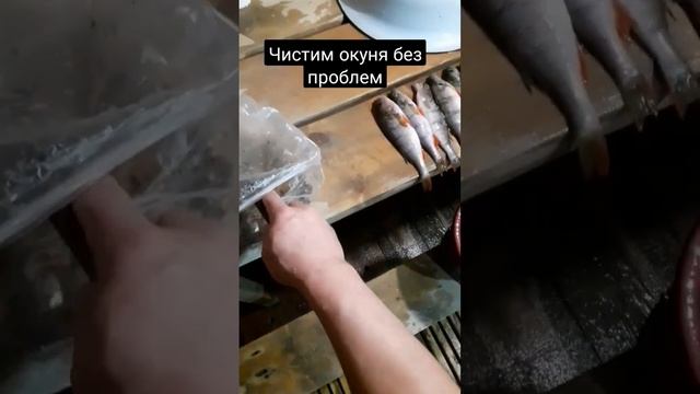 Как почистить окуня без всяких проблем. смотреть онлайн