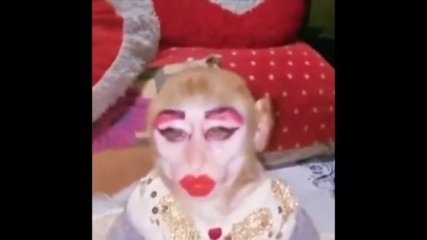 monkey makeup🤪🦄💅✨ |JiafeiProducts.Com