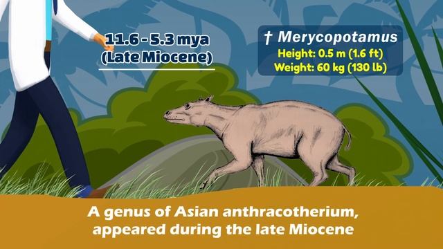 Hippos Evolution | Hippos Size Comparison: Living And Extinct | Prehistoric Hippopotamus