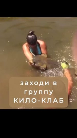Огромный сом заглотил Заходи за секретом