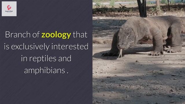 Zoology 👌 : information, interests, branches & characteristics 🔥 #Zoology смотреть онлайн