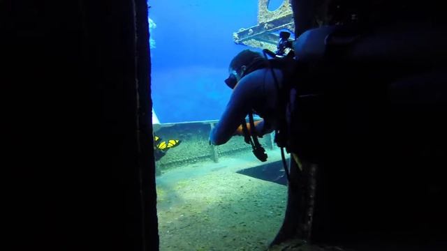 Dive #2 on the Kittiwake. Grand Cayman '16. смотреть онлайн
