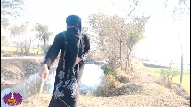 Dogs Vs Girl Fight Funny || Dogs Funny Video ||