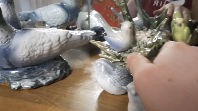 На улице похолодало - запустил голубей домой смотреть онлайн