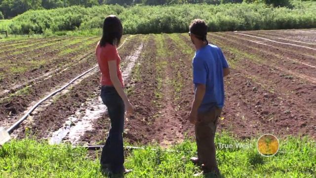 550 Farms смотреть онлайн