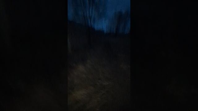 честный забег)))))