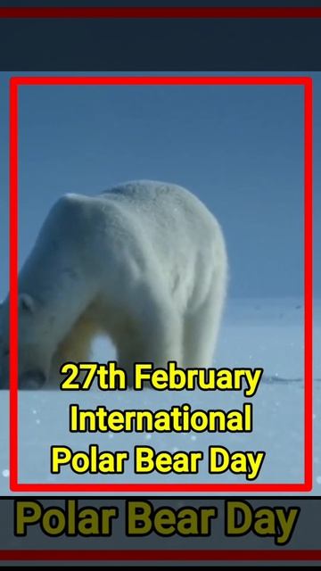 interesting facts || Amazing facts about polar bear || #short #youtubeshort #fact #biovedics #short смотреть онлайн