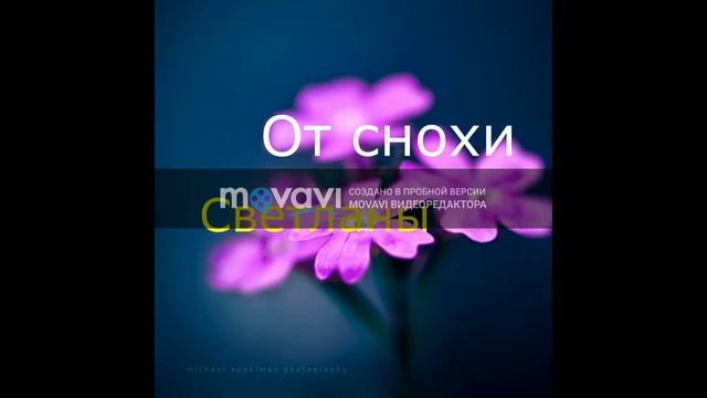 Юбилей т Лены Анефиев Эдуард смотреть онлайн