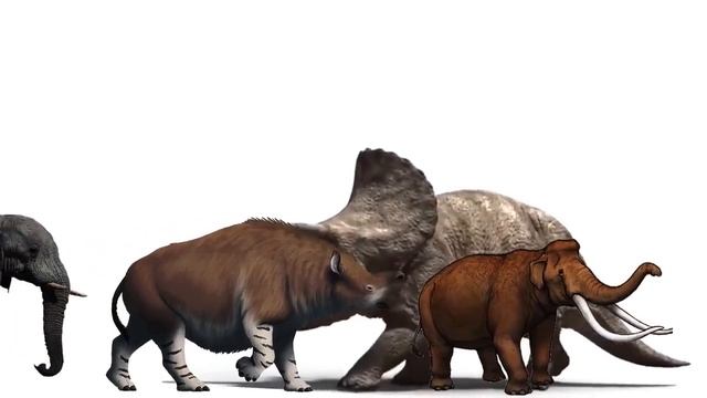 Triceratops vs Rhinos and Elephants Size Comparison смотреть онлайн