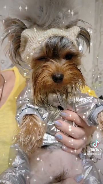 мама связала шапку, Юська опять обиделась, не любим мы примерки смотреть онлайн