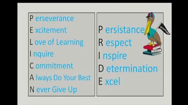 WSES Sweetwater Pelican News смотреть онлайн