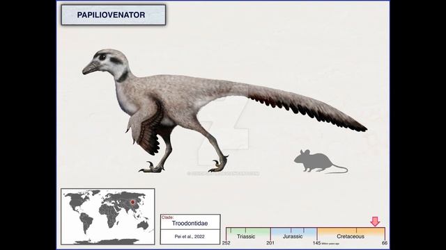 Top 5 Rare and Little-Known Troodontidae смотреть онлайн