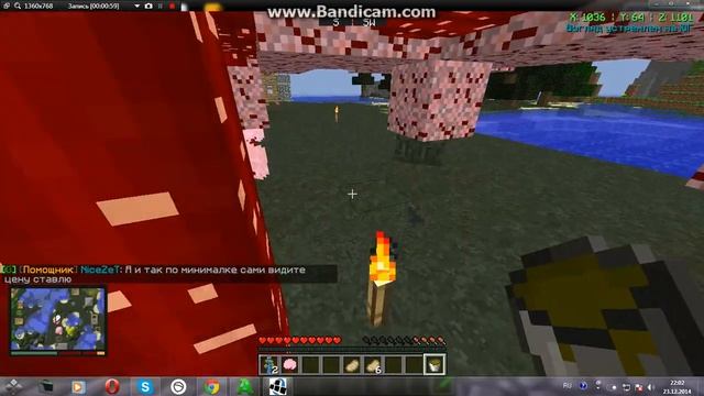 Гриф на серве WarAndWork.ru смотреть онлайн