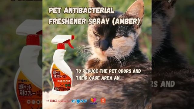Pet Antibacterial Fresher Spray (Amber) смотреть онлайн