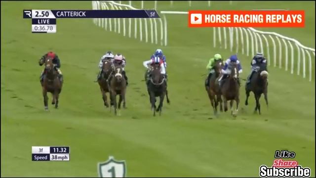 EDUCATING RITA / 2 Race Catterick 18 Jun 2024 смотреть онлайн