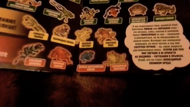 Обзор на лягушку&ко (новая версия) смотреть онлайн