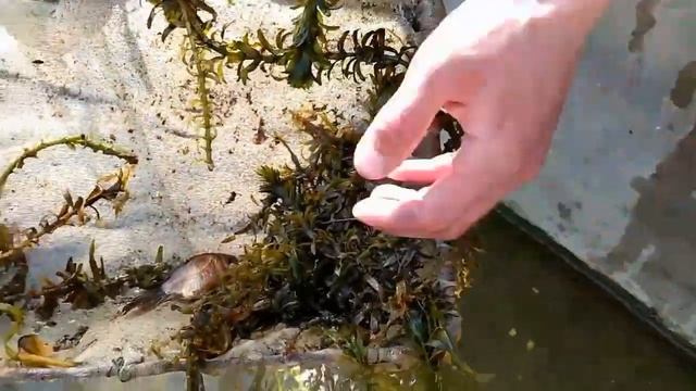 БАЛИК БОКИШ БИЗНЕСИ ЯНГИЧА ЕНДАШУВ СИЗ КУТГАН