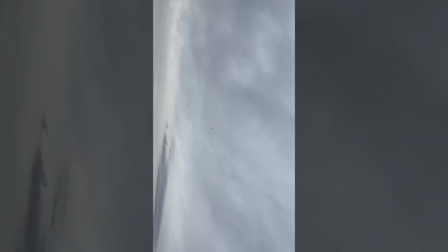eflite Pitts s1s 850 mm plane смотреть онлайн