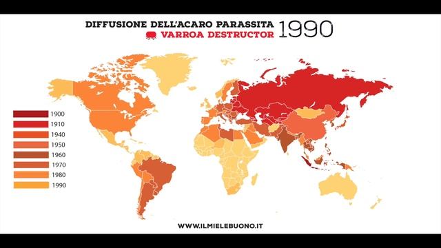 Varroa Destructor: l'acaro parassita delle api da miele. смотреть онлайн