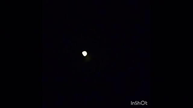 fire fly/glow worm/lightning bug photuris lucicrescens. lampride. смотреть онлайн