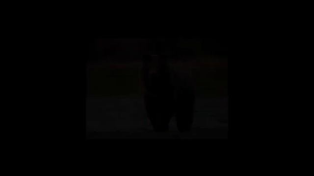 От маленького к большому: взросления животных #shorts смотреть онлайн