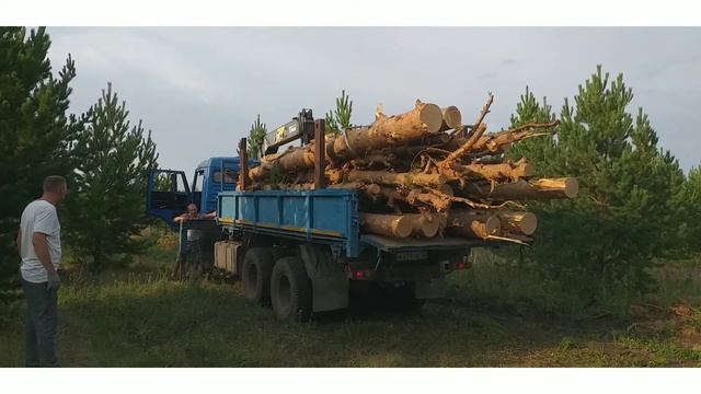 #сприоусадьба "Вершки и корешки" смотреть онлайн
