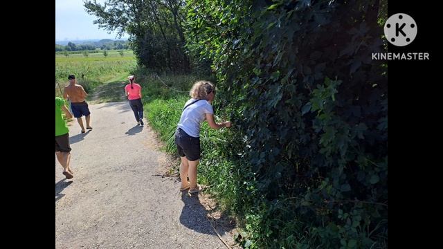 16 декабря 2023 г. смотреть онлайн