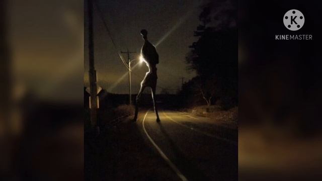 Armless creature ( Безрукое существо). Trevor Henderson Universal. смотреть онлайн