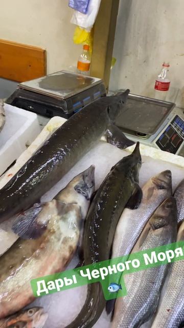 Рынок #батуми смотреть онлайн