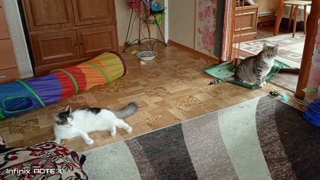 Пошла - пошёл, пошёл - пошёл.