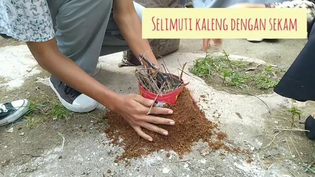 Cara membuat arang sekam bakar смотреть онлайн