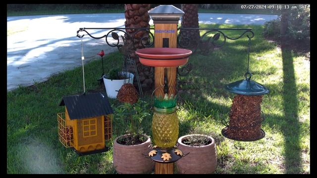 Showcase Reolink 4k 8MP Camera RLC-811WA Live Stream Zoom Setting 17 смотреть онлайн