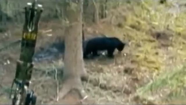 Охота в Новом Свете. Все серии. CANADA IN THE ROUGH смотреть онлайн