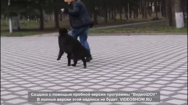 ТОРНАДО2 смотреть онлайн