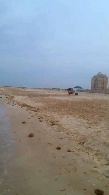 лунный календарь 04.04.24 #лунныйкалендарь #астропрогнознакаждыйдень #астрология #лунныедни смотреть онлайн