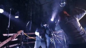 ПНЕВМОСЛОН — концерт для коз, гусей +18