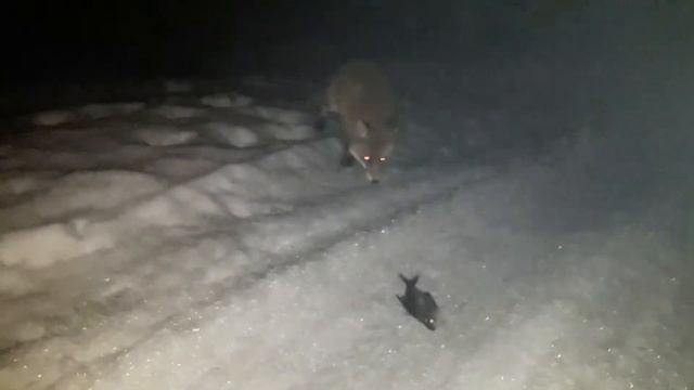 20190228 055924 смотреть онлайн