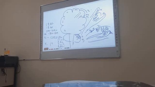 Bosh Miya Gistologiyasi