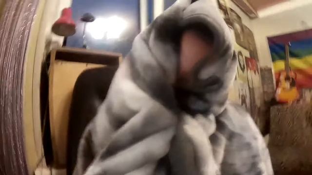 VLOG #13 / ДЕНЬ УЧИТЕЛЯ / Diana Salamandra смотреть онлайн